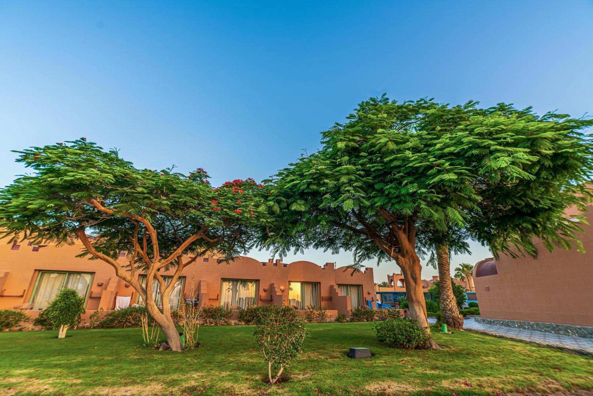 Akassia Swiss Resort El Qoseir Bagian luar foto